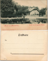 Ansichtskarte Ahrensburg Partie An Der Großen Strasse 1903 - Autres & Non Classés
