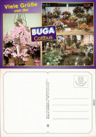 Ansichtskarte Cottbus Choćebuz BUGA/Bundesgartenschau 1995 - Cottbus