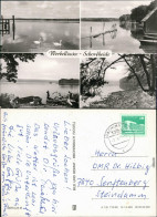 Ansichtskarte Schorfheide See Mit Schwänen, Boote Und Uferbereich G1980 - Autres & Non Classés