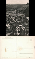 Schwarzburg Panorama-Ansicht Von Der Hotel-Terrasse Schwarzburg 1957 - Autres & Non Classés