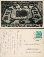 Ansichtskarte Zittau Blumenuhr 1956 - Zittau