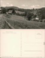 Ansichtskarte Lückendorf-Oybin Panorama-Ansicht 1956 - Oybin