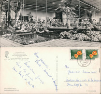Ansichtskarte Erfurt Internationale Gartenbauausstellung Der DDR (IGA) 1961 - Erfurt
