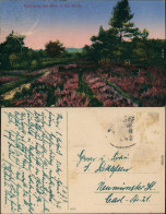 Ansichtskarte  Heideweg, Lüneburger Heide 1908 - Non Classificati