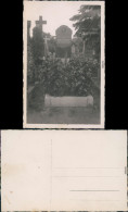Ansichtskarte Friedhof, Grab Von Wilhelm Schmidt 1897-1931 - Altri & Non Classificati