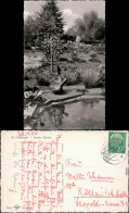 Ansichtskarte Mönchengladbach Bunter Garten 1956 - Mönchengladbach