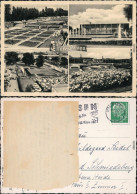 Ansichtskarte Essen (Ruhr) Grugapark Mit Springbrunnen Und Blumenbeeten 1961 - Essen