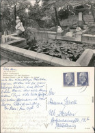 Ansichtskarte Bernburg (Saale) Ausflugsgaststätte "Paradies" 1964 - Autres & Non Classés