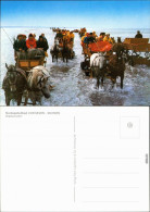 Ansichtskarte Duhnen-Cuxhaven Wattenfahrt Mit Pferdekutschen 1975 - Cuxhaven