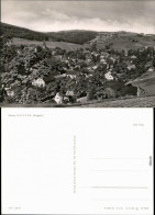 Ansichtskarte Seiffen (Erzgebirge) Blick Auf Den Ort 1971 - Seiffen