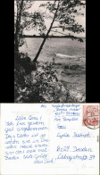 Ansichtskarte Diensdorf-Radlow Am Scharmützelsee 1968 - Altri & Non Classificati