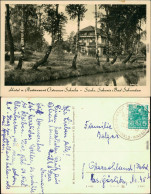 Ansichtskarte Bad Schandau Hotel Und Restaurant Ostrauer Scheibe 1961 - Bad Schandau