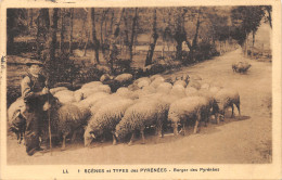 65-BERGER DES PYRENEES-N°354-F/0097 - Autres & Non Classés