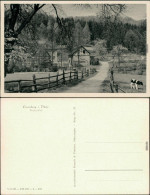 Ansichtskarte Eisenberg (Thüringen) Walkmühle Mit Weide Und Rinder 1956 - Eisenberg