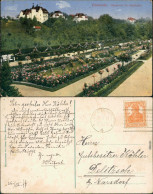 Ansichtskarte Chemnitz Rosarium Im Stadtpark 1917 - Chemnitz