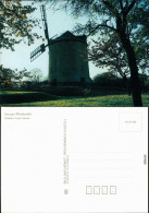 Ansichtskarte Syrau (Vogtland) Windmühle 1988 - Syrau (Vogtland)
