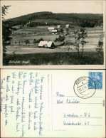 Rehefeld-Altenberg (Erzgebirge) Panorama-Ansicht Mit Blick über Die Wiesen 1954 - Rehefeld