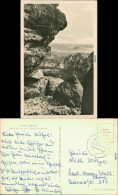 Ansichtskarte Bad Schandau Ausblick Von Den Schrammsteinen 1956 - Bad Schandau
