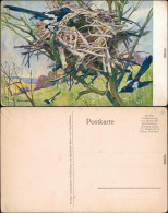 Ansichtskarte  Vögel Bauen Nest - Künstlerkarte 1913  - 1900-1949