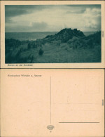 Ansichtskarte Wittdün (Amrum) Dünen An Der Nordsee  - Altri & Non Classificati