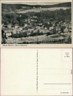 Ansichtskarte Wehlen Blick Auf Den Ort 1955 - Wehlen