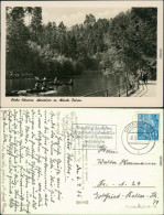 Ansichtskarte Rathen Amselsee Mit Mönch / Mönchstein (Fels) 1956 - Rathen