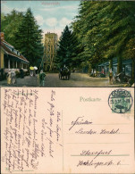 Ansichtskarte Friedrichsbrunn Partie An Der Viktorshöhe 1911  - Sonstige & Ohne Zuordnung