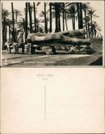 Giseh Gizeh الجيزة The Colossal Statue Of Rameses II Sakkara 1930  - Autres & Non Classés