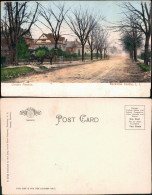 Postcard Rockville Centre Lincoln Avenue 1910  - Otros & Sin Clasificación