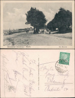Arendsee (Mecklenburg-Vorpommern )-Kühlungsborn Promenade - Alllee 1926  - Kuehlungsborn