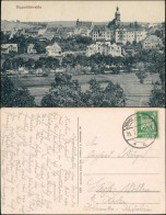Ansichtskarte Dippoldiswalde Blick Auf Die Stadt 1924  - Dippoldiswalde