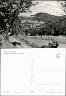 Ansichtskarte Geising-Altenberg (Erzgebirge) Blick Auf Den Ort 1981 - Geising