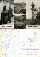 Ansichtskarte Bad Schandau Krippen, Fahrstuhl, Bären Im Zwinger 1978 - Bad Schandau