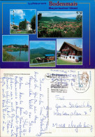 Ansichtskarte Bodenmais Kuranlagen, Panorama, See, Pferdekutsche, Haus 1996 - Bodenmais