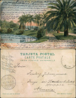 Postcard Buenos Aires Park Palermo - La Laguna 1905 - Argentinien
