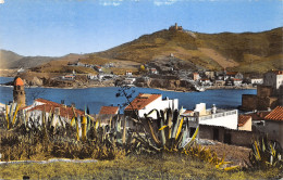 66-COLLIOURE-N°354-G/0281 - Collioure