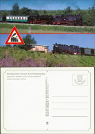 Schmalspurbahn Cranzahl-Oberwiesenthal: Bei Kretscham 1995 - Other & Unclassified