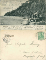 Warnicken  (Лєсноө) Familie An Der Steilküste Ostpreußen Könihsberg  1904 - Ostpreussen