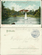 Ansichtskarte Südviertel-Essen (Ruhr) Partie Aus Dem Stadtgarten 1910  - Essen