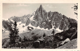 74-CHAMONIX-LE DRU-N°355-D/0177 - Chamonix-Mont-Blanc