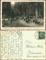 Ansichtskarte Wildemann (Innerstetal) Viehabtrieb - Spiegeltal 1940  - Wildemann