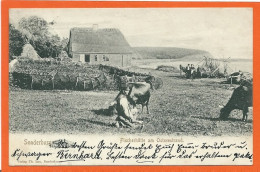 DK147_*  SØNDERBORG  FISKER BÅD ANKOMST * SENDT 1907, ENKELT BAGSIDE - Danimarca