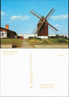 Ansichtskarte Fahrland-Potsdam Windmühle Mit Grillrestaurant 1989 - Potsdam