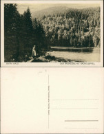 Sankt Oswald-Riedlhütte Der Rachelsee Mit Rachelipfel (Bayrischer Wald) 1921 - Other & Unclassified