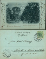 Ansichtskarte Eimsbüttel-Hamburg Mondscheinlitho: Eimsbüttler Park 1900 - Eimsbüttel