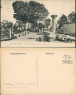 Karthago Carthage Jardin Musée De Saint-Louis/Museumsgarten, Park Museum 1910 - Tunisia