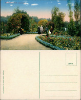 Ansichtskarte Sangerhausen Rosarium Personen Park Heliocolorkarte Zieher 1910 - Otros & Sin Clasificación