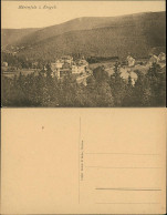 Bärenfels (Erzgebirge)-Altenberg (Erzgebirge) Panorama Blick Auf Villen 1910 - Altenberg