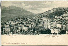 2A-CORSE  - SARTENE  -  Vue. Generale.         Collection. J.Moretti,Corté. N°:117 - Sartene