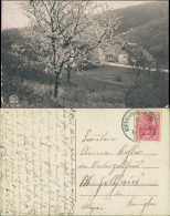 Ansichtskarte  Stimmungsbild Frühling Dorf Haus (Ort Unbekannt) 1921 - Zu Identifizieren